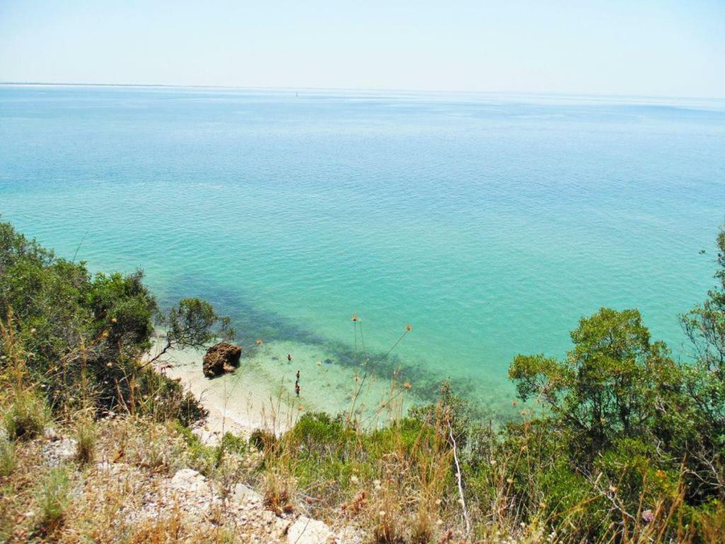 Apartamento Sado Setúbal Dış mekan fotoğraf